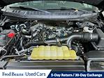 2020 Ford F-150 SuperCrew Cab 4WD Pickup for sale #D504661 - photo 30