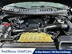 Used 2018 Ford F-150 XLT SuperCrew Cab for sale #D601861 - photo 31