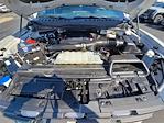 2023 Ford F-150 SuperCrew Cab 4WD Pickup for sale #GMR1620A - photo 28