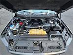 2017 Ford F-150 SuperCrew Cab 4x4 Pickup for sale #GMS1489A - photo 30