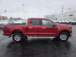 2024 Ford F-150 SuperCrew Cab 4WD Pickup for sale #GMT1181A - photo 24