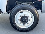 2024 Chevrolet Silverado 5500 Regular Cab DRW 4WD Heiser Box Truck for sale #1C0448 - photo 13