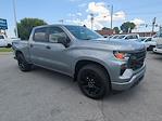 2025 Chevrolet Silverado 1500 Crew Cab RWD Pickup for sale #C300860 - photo 3