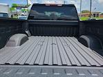 2025 Chevrolet Silverado 2500 Crew Cab 4WD Pickup for sale #3151144 - photo 25