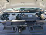 New 2024 Chevrolet Express 2500 Upfitted Cargo Van for sale #F3141108 - photo 31