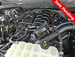 2024 Ford F-150 Regular Cab 4WD Pickup for sale #RKD04978 - photo 31