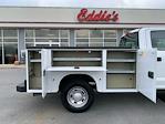 2020 Ford F-250 Crew Cab 4x4 Cab Chassis for sale #S1271 - photo 31