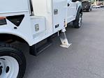 2019 Ford F-550 Regular Cab DRW 4x4 Bucket Truck for sale #S1294 - photo 39