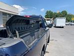 2015 Ram 1500 Regular Cab 4x2 Pickup for sale #S1384 - photo 25
