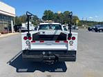 2015 Ford F-250 Regular Cab 4x2 Service Truck for sale #S1438 - photo 2