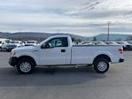 Used 2014 Ford F-150 Regular Cab for sale #S1487 - photo 6