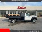 2014 Ford F-550 Regular Cab DRW 4x4 Dump Truck for sale #S1825 - photo 1