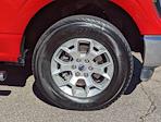 2023 Ford F-150 SuperCrew Cab 4WD Pickup for sale #AFB55093A - photo 11
