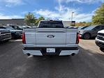 2025 Ford F-150 SuperCrew Cab 4WD Pickup for sale #AFB76434 - photo 19