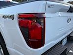New 2025 Ford F-150 XL Regular Cab for sale #AFE39789 - photo 16