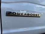 2024 Ford F-150 SuperCrew Cab 4x4 Pickup for sale #420408 - photo 9