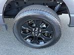 2022 Ford F-150 SuperCrew Cab 4x4 Pickup for sale #420553 - photo 9