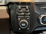 2024 Ford F-250 Crew Cab 4x4 Pickup for sale #420721 - photo 25