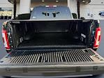 2023 Ford F-150 SuperCrew Cab 4WD Pickup for sale #422537 - photo 9