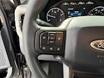 2024 Ford F-250 Crew Cab 4WD Pickup for sale #423321 - photo 24