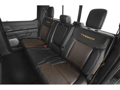 New 2025 Ford F-150 - photo 1