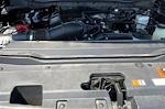 2024 Ford F-250 Crew Cab 4x4 Pickup for sale #250204A - photo 10