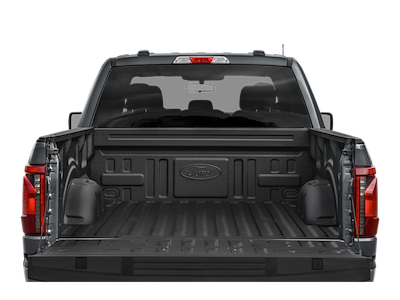 New 2025 Ford F-150 - photo 1