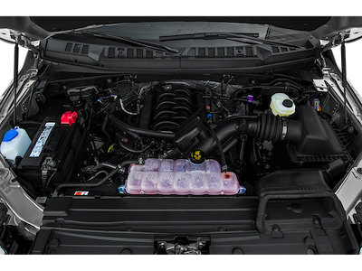 Used 2015 Ford F-150 - photo 1