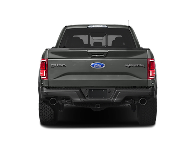 Used 2019 Ford F-150 Raptor SuperCrew Cab for sale #30086 - photo 2