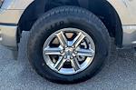 2025 Ford F-150 SuperCrew Cab 4x4 Pickup for sale #30146 - photo 8