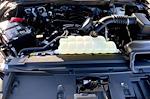 2025 Ford F-150 SuperCrew Cab 4x4 Pickup for sale #30146 - photo 9