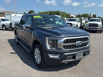 2021 Ford F-150 SuperCrew Cab 4x4 Pickup for sale #K04731 - photo 2