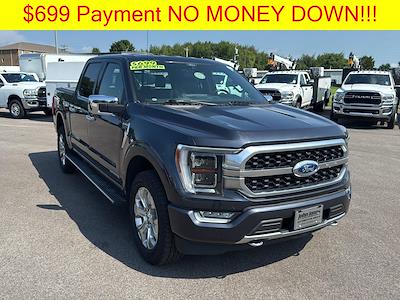 2021 Ford F-150 SuperCrew Cab 4x4 Pickup for sale #K04731 - photo 2