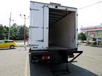 2019 Isuzu NRR Regular Cab 4x2 Cab Chassis for sale #VM0979 - photo 8