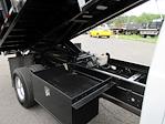 Used 2016 Ford F-350 Regular Cab 4x4 Morgan Truck Body Landscape Dump for sale #VM27022 - photo 40