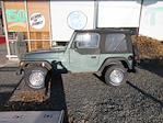 1999 Jeep Wrangler 4x4 SUV for sale #VM6375 - photo 3