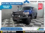 2014 Toyota Tundra Double Cab 4x4 Pickup for sale #052564A - photo 1