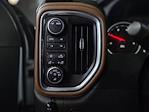 2022 Chevrolet Silverado 3500 Crew Cab 4x4 Pickup for sale #120431 - photo 30