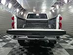 2023 Chevrolet Silverado 3500 Crew Cab 4x4 Pickup for sale #711296 - photo 10