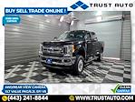 2017 Ford F-250 Crew Cab 4x4 Pickup for sale #C50343A - photo 1