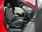2021 Ford F-150 SuperCrew Cab 4x4 Pickup for sale #D01119 - photo 19