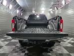 2020 Ford F-250 Crew Cab 4x4 Pickup for sale #D14574 - photo 11