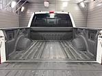 2021 Ford F-250 Crew Cab 4x4 Pickup for sale #D37612 - photo 10