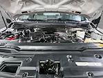 2022 Ford F-350 Regular Cab DRW 4x4 Pickup for sale #D65657 - photo 32