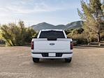2025 Ford F-150 SuperCrew Cab 4x2 Pickup for sale #DR2351 - photo 6