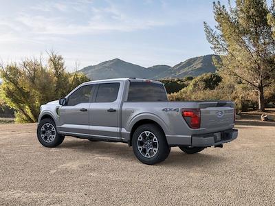 2025 Ford F-150 SuperCrew Cab 4x4 Pickup for sale #DR2618 - photo 2
