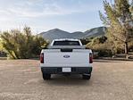 2024 Ford F-150 Regular Cab 4x4 Pickup for sale #FF22653 - photo 6