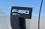 2021 Ford F-150 SuperCrew Cab 4x2 Pickup for sale #PP1515 - photo 13
