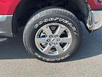 2019 Ford F-150 SuperCrew Cab 4x4 Pickup for sale #T11923-1 - photo 12