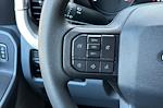 2023 Ford F-350 Crew Cab DRW 4WD Pickup for sale #PEC43180AA - photo 33